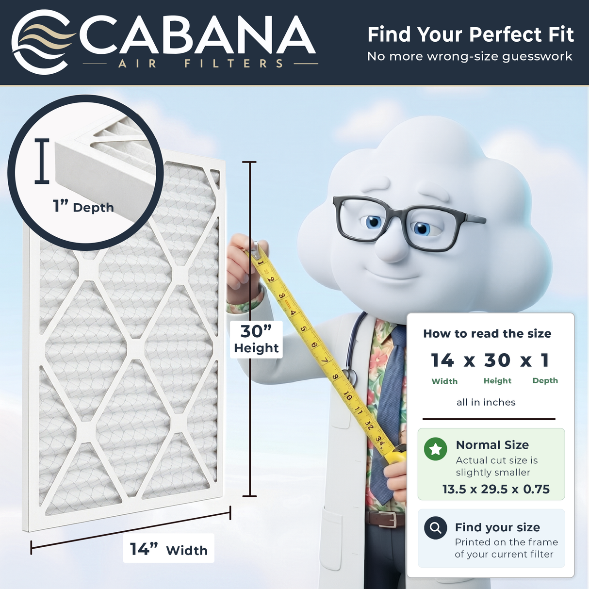 Cabana Filters MERV 5 Air Filter